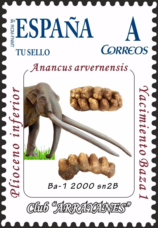 TuSello Baza