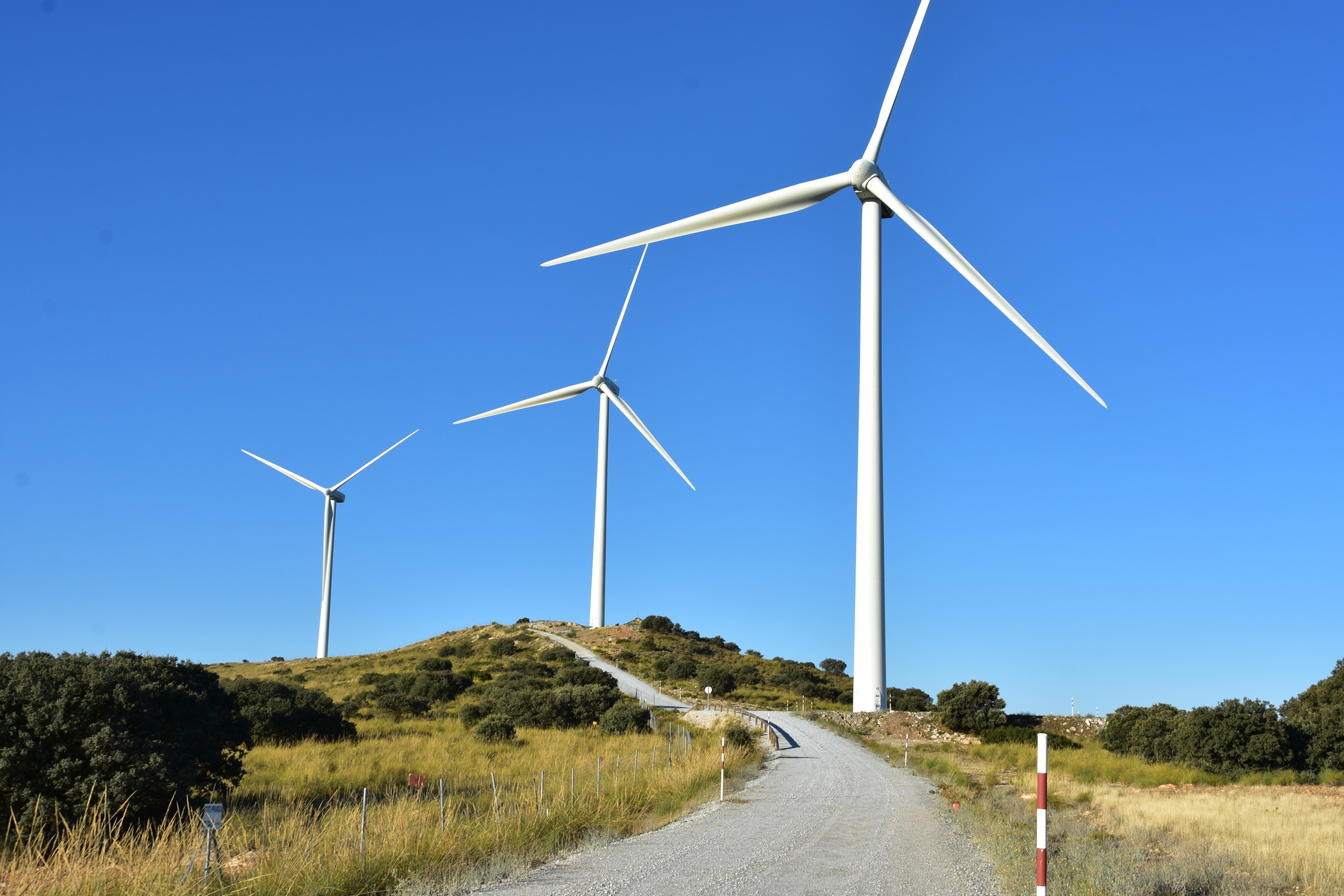 Molinos eólicos 